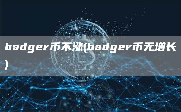 badgr币不涨 - badgr币无增长